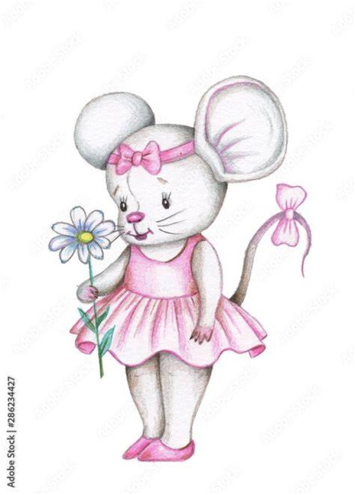 Can a mouse be a girl