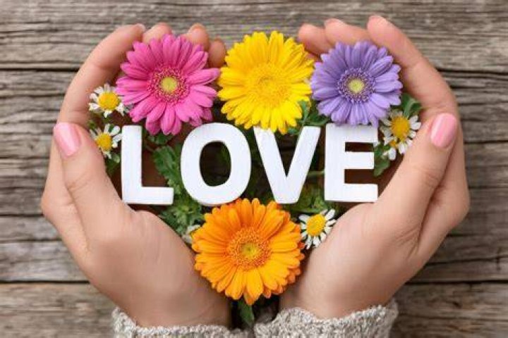 What are love flowers