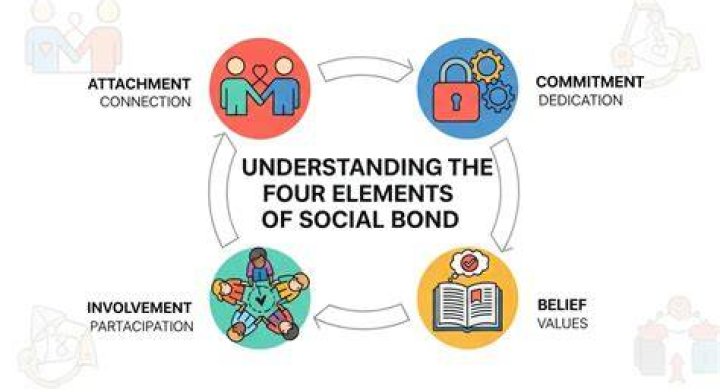 What is a social bond
