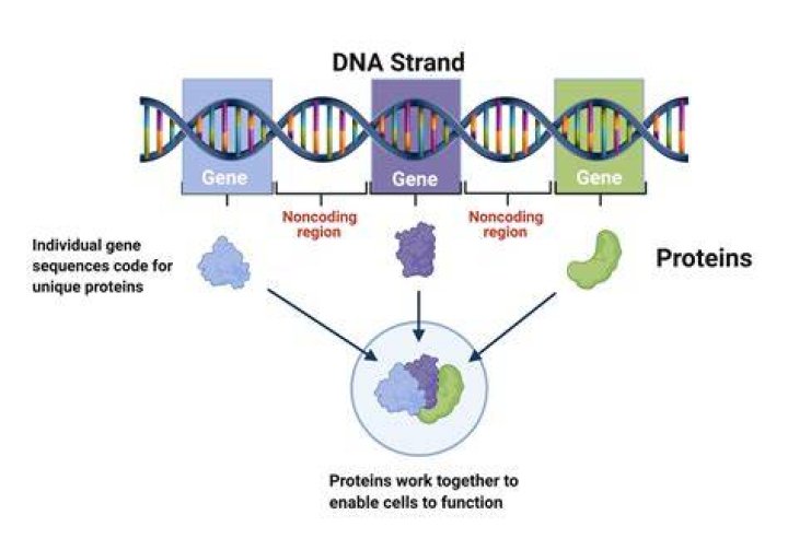 What was Genes enemy